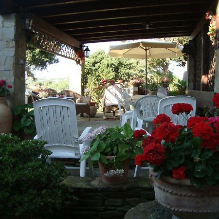 Solmar Daire Palmadula Dış mekan fotoğraf